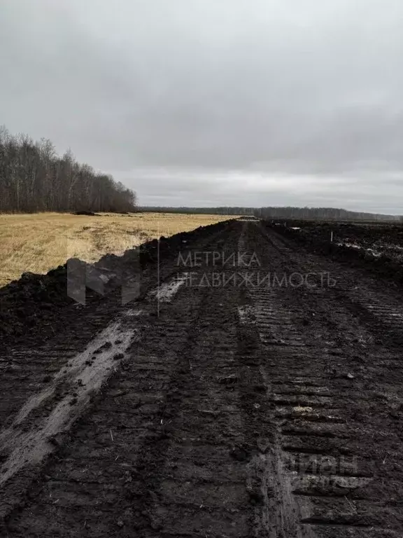Участок в Тюменская область, Тюменский муниципальный округ, с. ... - Фото 1