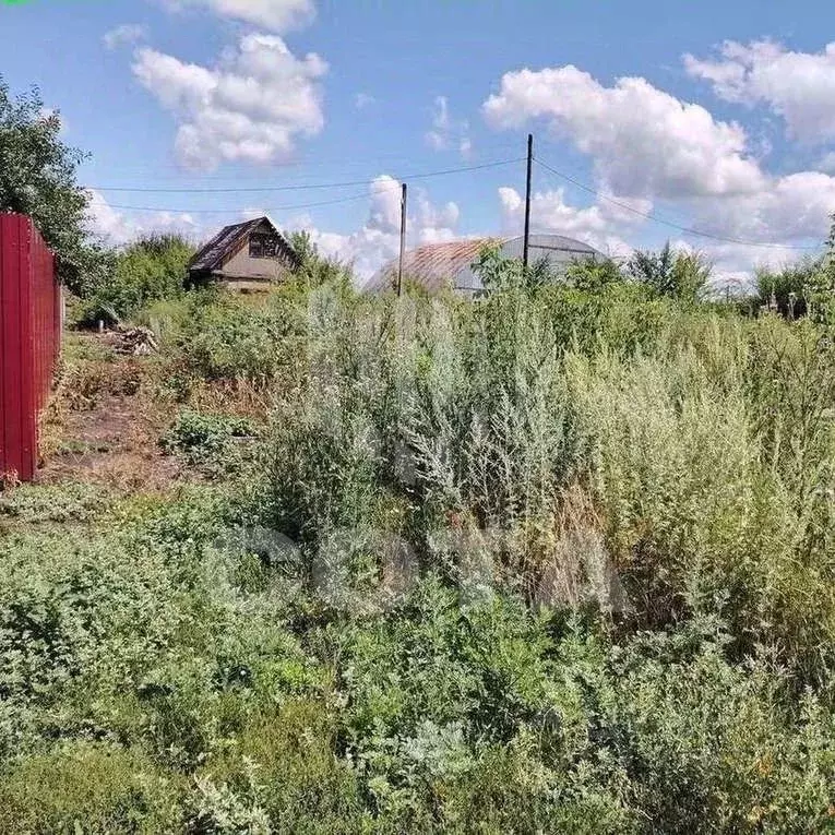 Участок в Воронежская область, Новоусманский район, Усманское 1-е ... - Фото 1