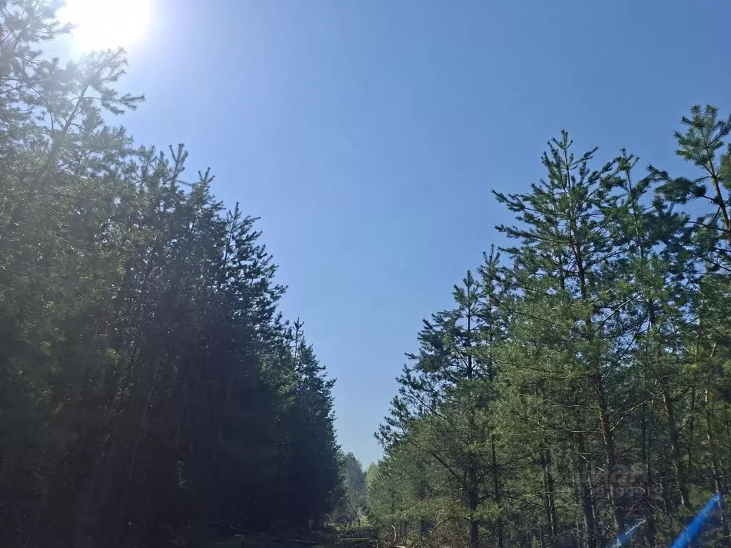 Участок в Владимирская область, Муром Ратник СНТ,  (6.0 сот.) - Фото 1