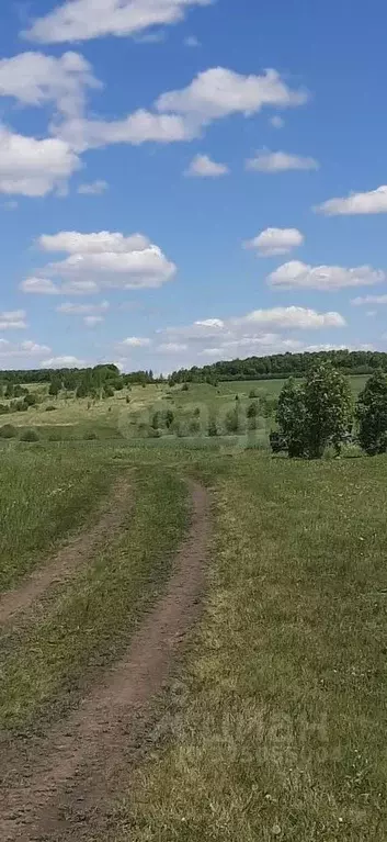 Участок в Мордовия, Лямбирский район, Саловское с/пос, с. Еремеево ул. ... - Фото 1