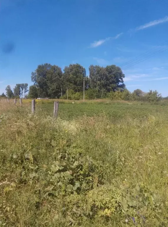 Участок в Татарстан, Тукаевский район, Князевское с/пос, д. Чершелы ... - Фото 2