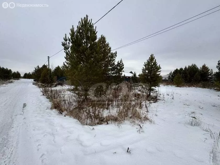 Участок в Тюменский район, деревня Елань (6.8 м) - Фото 0