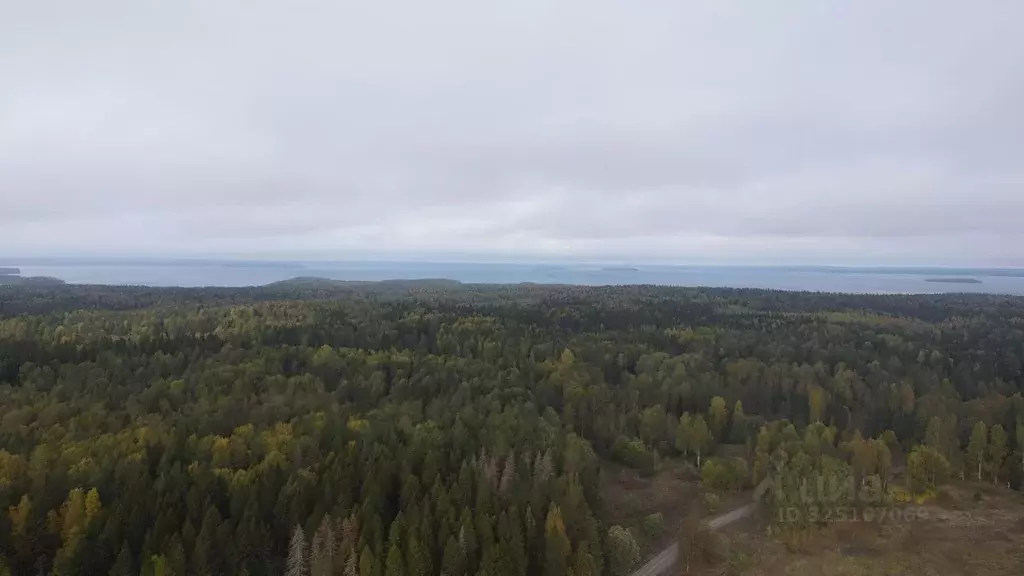 Участок в Карелия, Питкярантский район, Харлуское с/пос  (59.99 сот.) - Фото 2