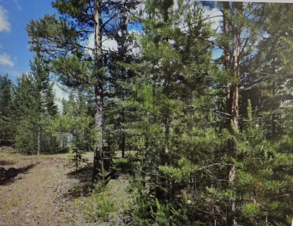 Участок в Бурятия, Улан-Удэ Забайкальский мкр, ул. Клюквенная (6.0 ... - Фото 1