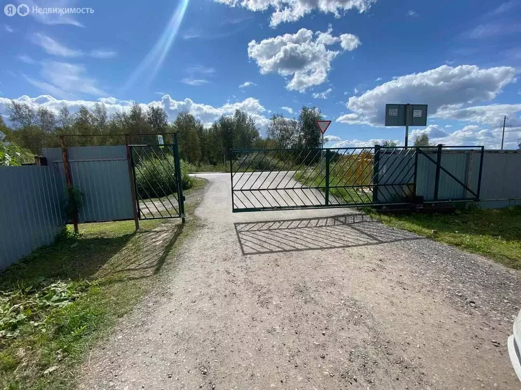 Участок в Тюмень, СНТ Пчёлка, Грибная улица (7.69 м) - Фото 1