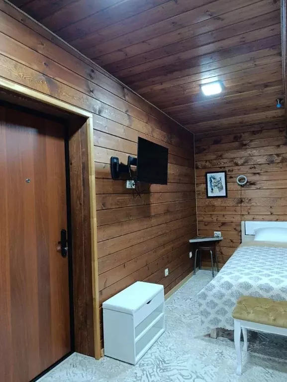 Студия Краснодарский край, Сочи городской округ, с. Раздольное ул. ... - Фото 2