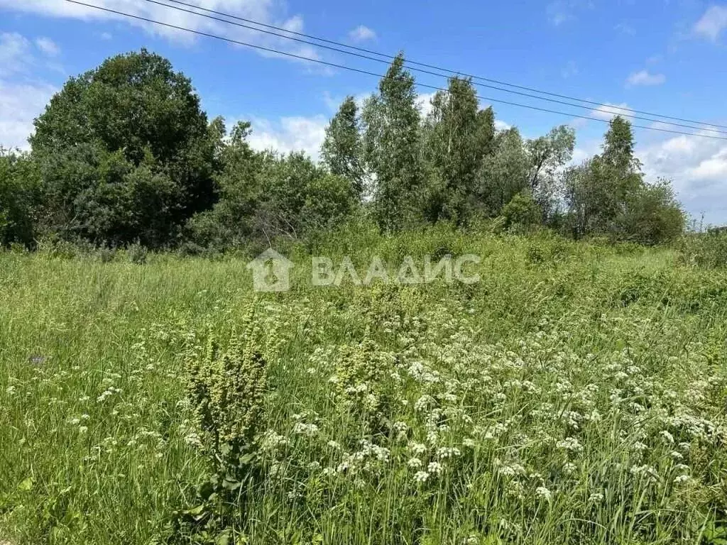 Участок в Нижегородская область, Богородский муниципальный округ, д. ... - Фото 0