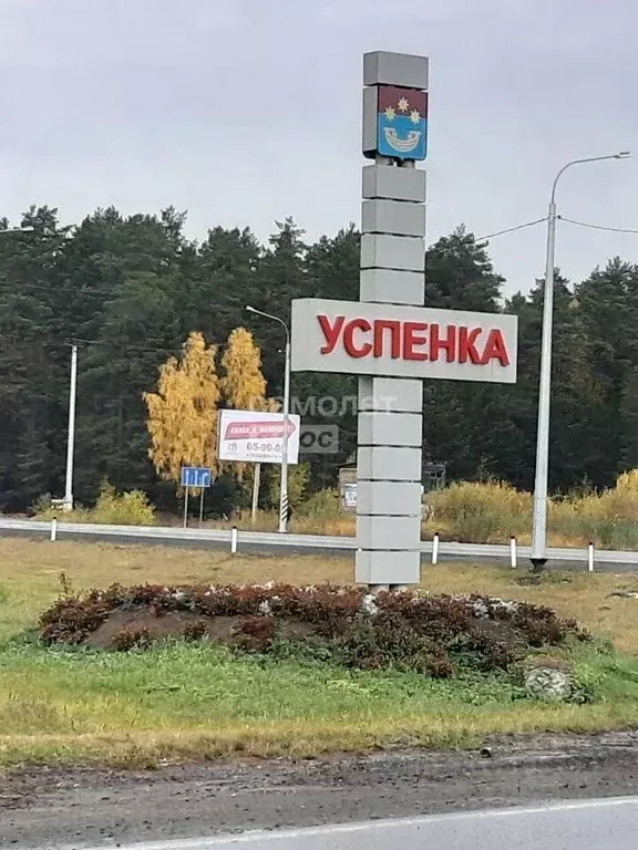 Участок в Тюменская область, Тюменский муниципальный округ, с. Успенка ... - Фото 2