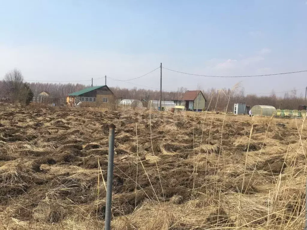 Участок в Еврейская автономная область, Смидовичский район, Минерал ... - Фото 1