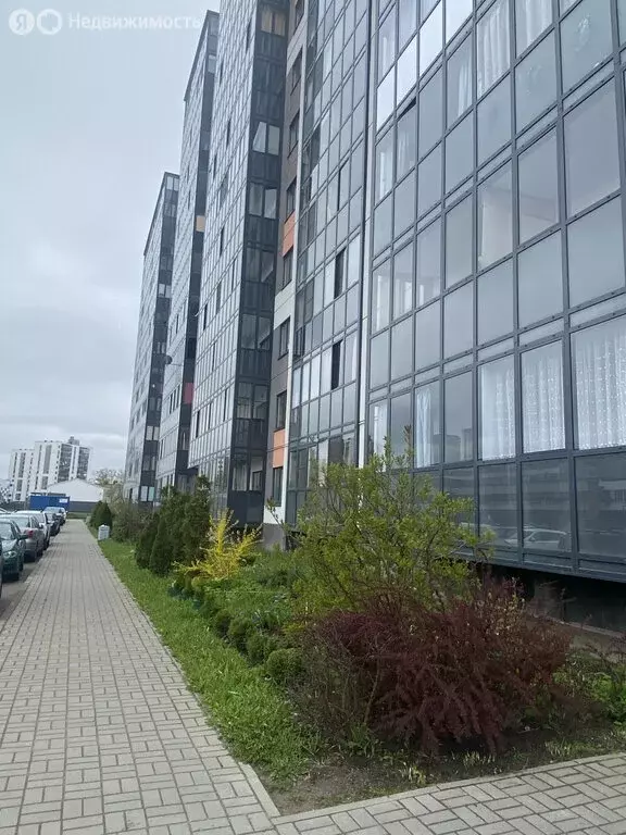 1-комнатная квартира: городской посёлок Новоселье, Стрельнинская ... - Фото 0