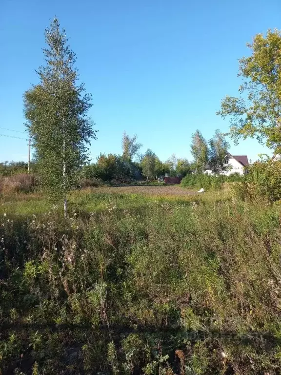Участок в Пензенская область, Бессоновский район, с. Чемодановка пер. ... - Фото 1