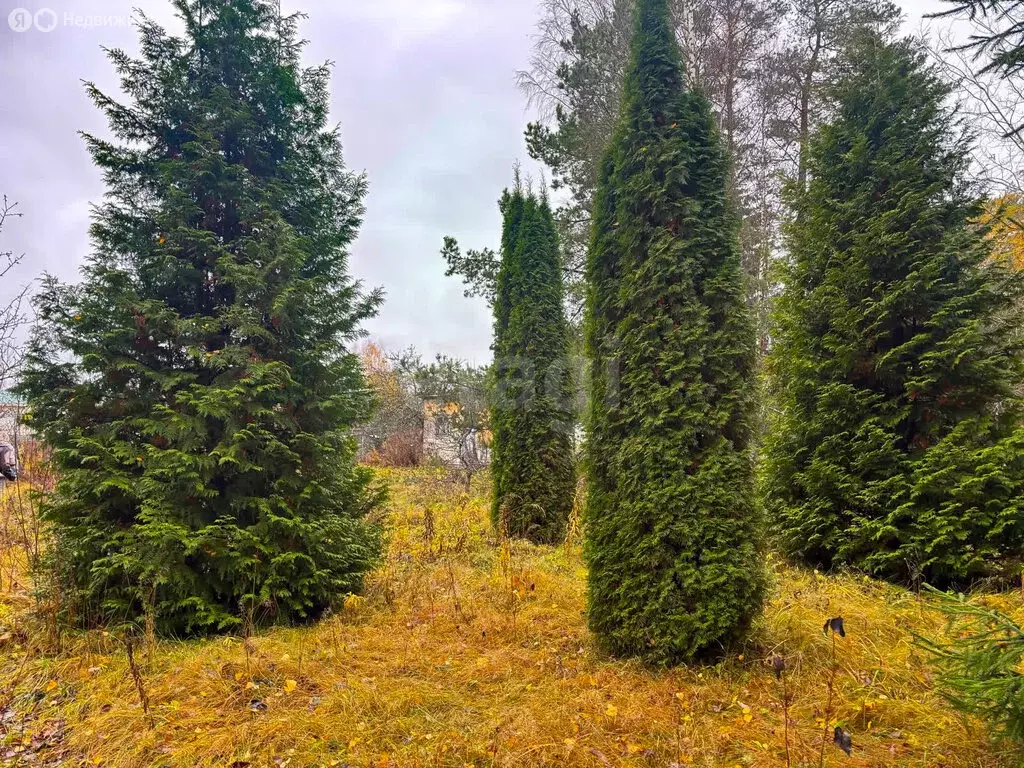 Дом в Псковский район, Карамышевская волость, садоводческое ... - Фото 2