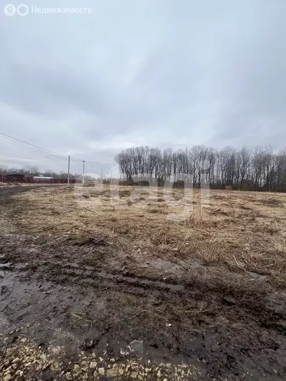 Участок в Тульская область, муниципальное образование Тула, село ... - Фото 1