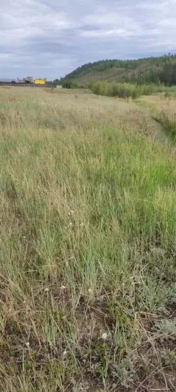 Участок в Саха (Якутия), Якутск ул. Мелиораторов (8.0 сот.) - Фото 0