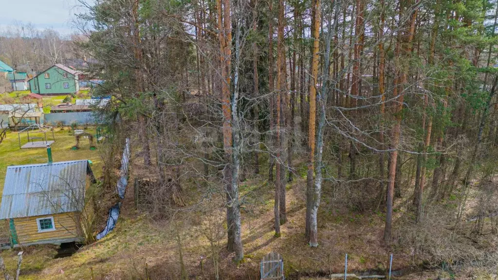 Участок в Ленинградская область, Всеволожский район, Рахьинское ... - Фото 1