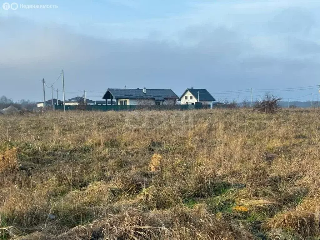 Участок в Калининградская область, Зеленоградский муниципальный округ, ... - Фото 2