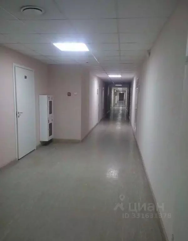 Офис в Санкт-Петербург ул. Ефимова, 4а (25 м) - Фото 1