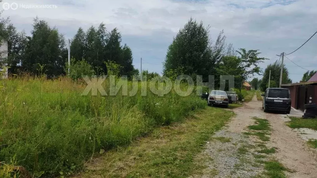 Участок в Новосибирск, СТ Сибиряк-2 (7.62 м) - Фото 1