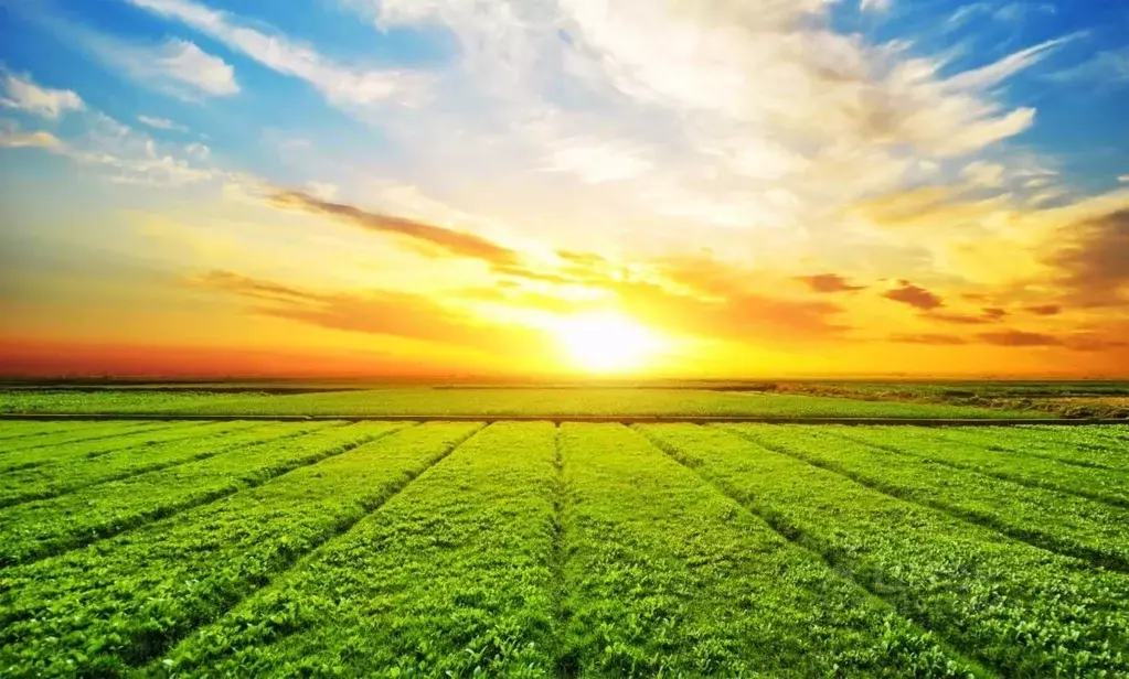 Участок в Бурятия, Кабанский район, с. Кабанск  (120.0 сот.) - Фото 2