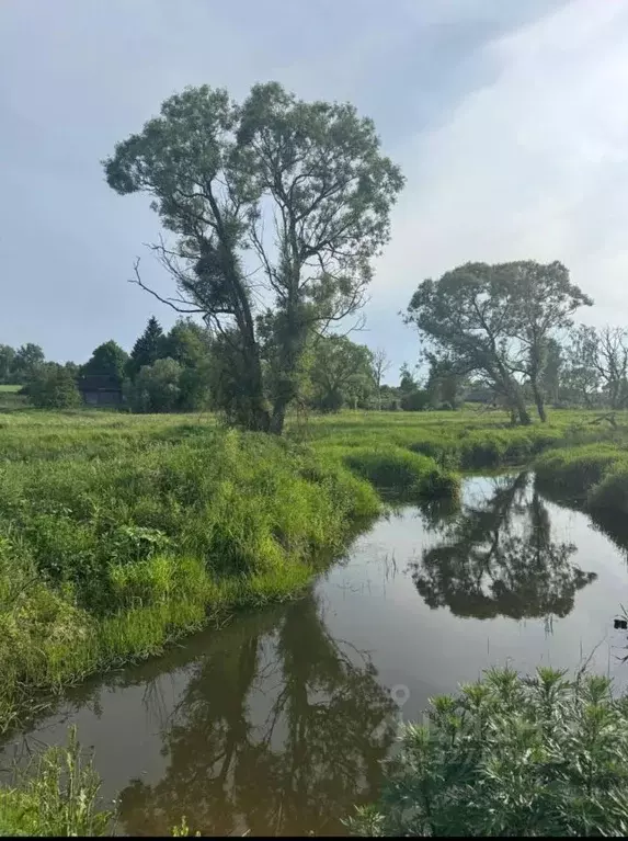 Участок в Тульская область, Алексин городской округ, с. Афанасьево 13 ... - Фото 1