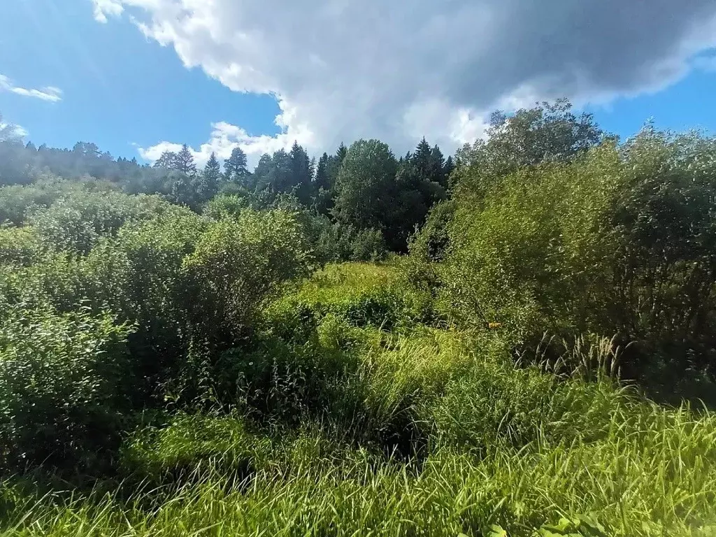 Участок в Карелия, Сортавальский муниципальный округ, пос. Вуорио ... - Фото 1