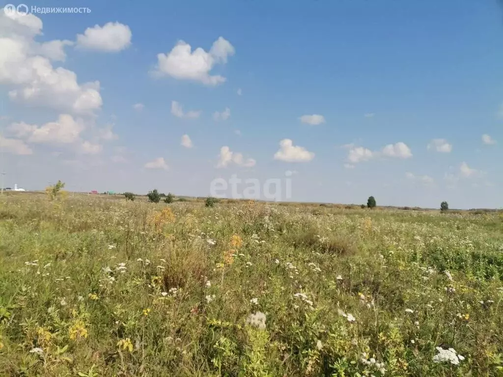 Участок в Тюменский район, село Луговое (2540 м) - Фото 1