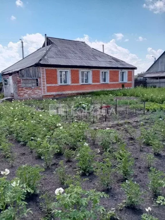 Дом в Новосибирская область, Краснозерское рп ул. Изумрудная (139 м) - Фото 0