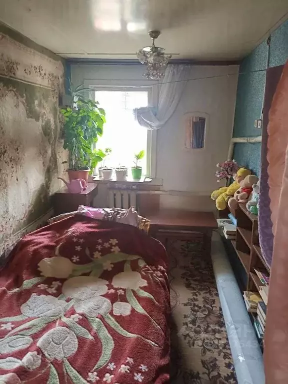 Дом в Новосибирская область, Черепаново Алтайская ул. (42 м) - Фото 2