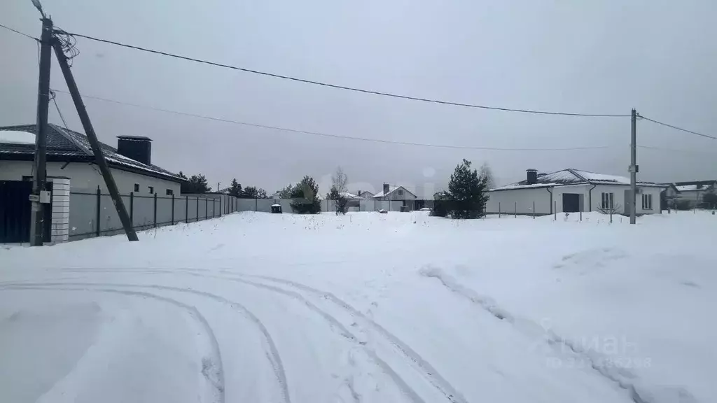 Участок в Воронежская область, Рамонский район, Новоживотинновское ... - Фото 1