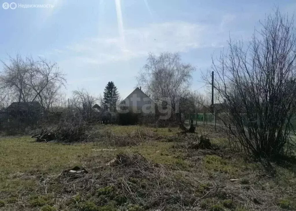 Участок в Омск, территория СОСН Энергия (7 м) - Фото 2