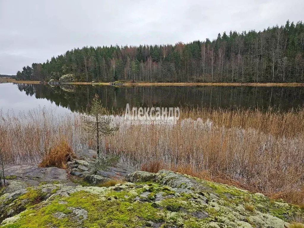 Участок в Карелия, Сортавальский муниципальный округ, пос. Рауталахти  ... - Фото 1