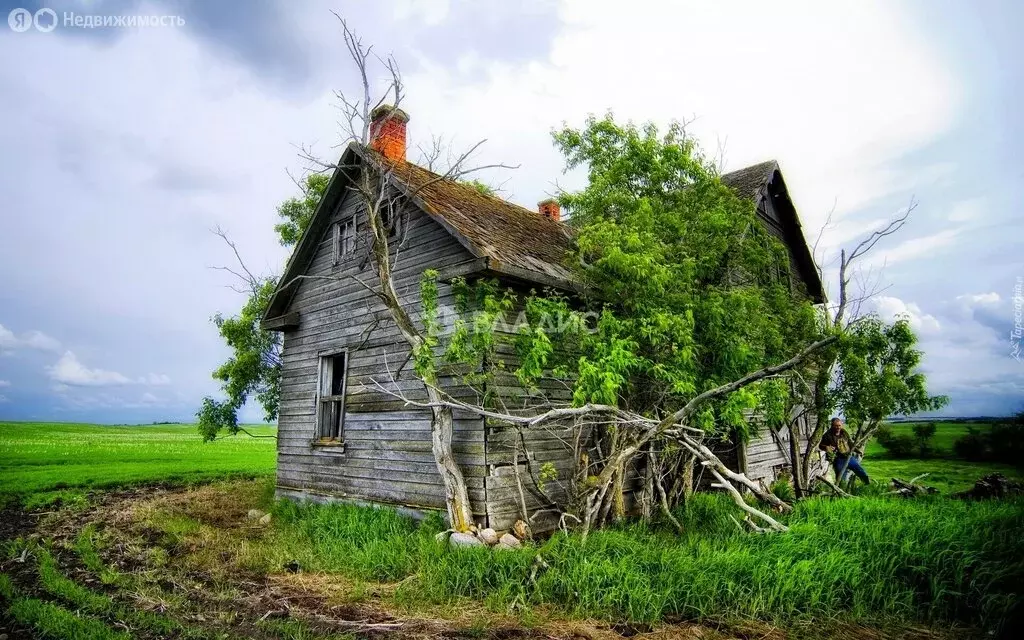 Дом в Владимирская область, Юрьев-Польский муниципальный округ, село ... - Фото 1