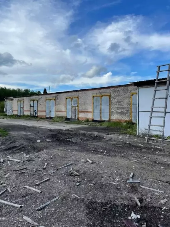 Помещение свободного назначения в Вологодская область, с. Устье ул. ... - Фото 1