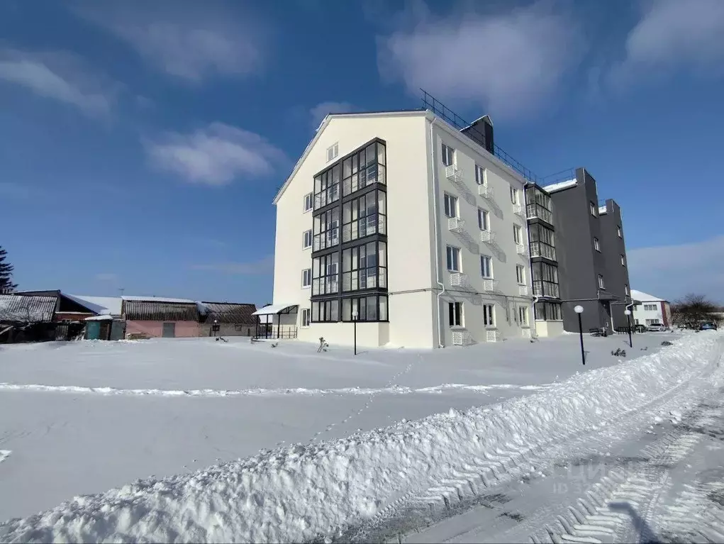 1-к кв. Белгородская область, Белгородский район, Новосадовское с/пос, ... - Фото 1