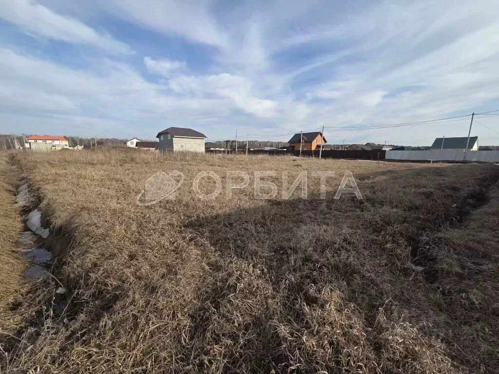 Участок в Тюменская область, Тюменский муниципальный округ, д. Ушакова ... - Фото 1