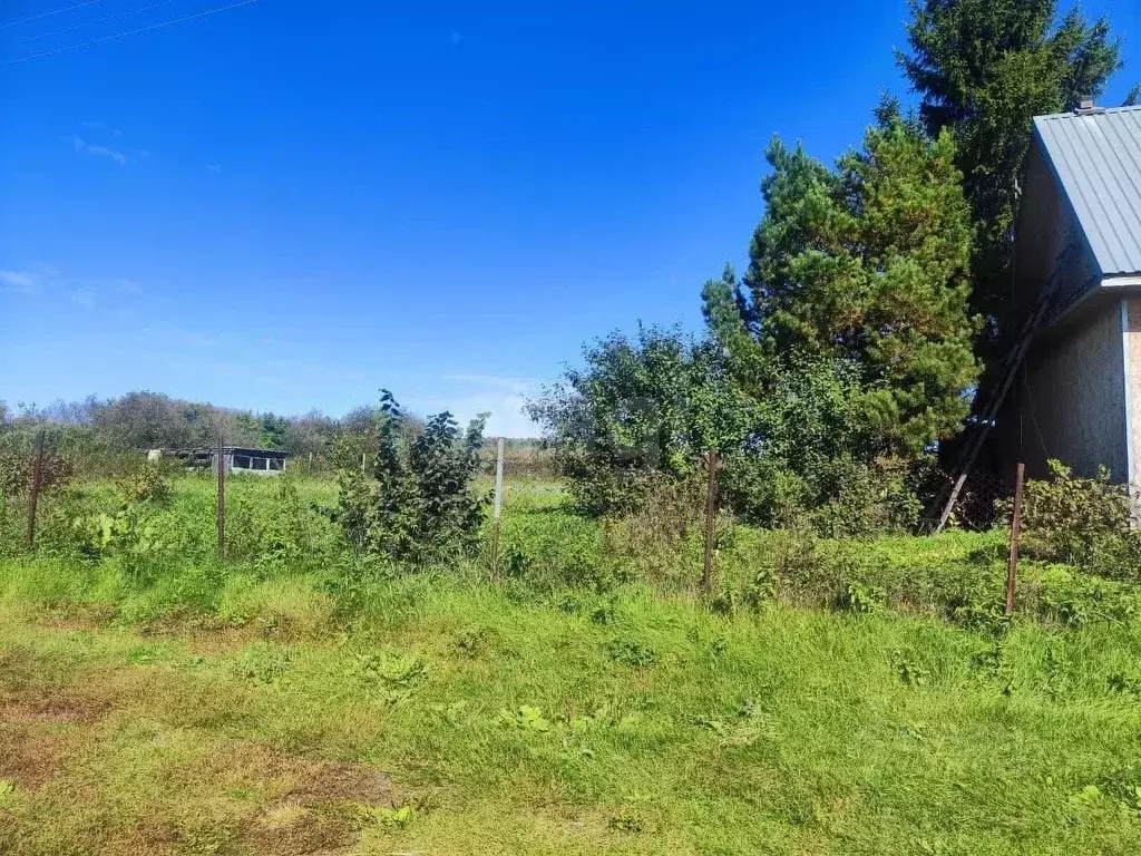 Дом в Курганская область, Шадринский муниципальный округ, д. Максимова ... - Фото 2