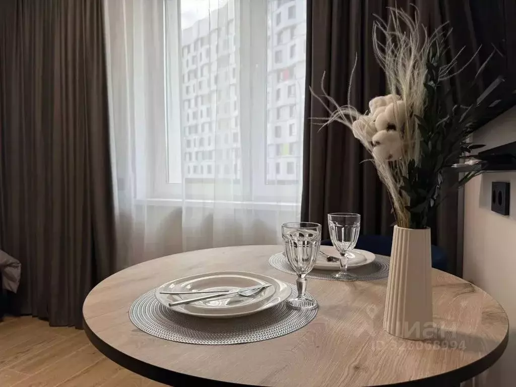 Студия Москва Березовая аллея, 19к3 (25.0 м) - Фото 2