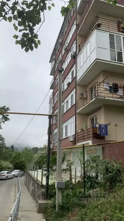 Студия Краснодарский край, Сочи Пластунская ул., 196/3 (30.0 м) - Фото 1