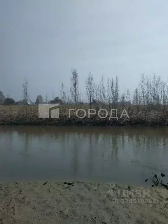 Участок в Алтайский край, Первомайский район, с. Бобровка Советская ... - Фото 2