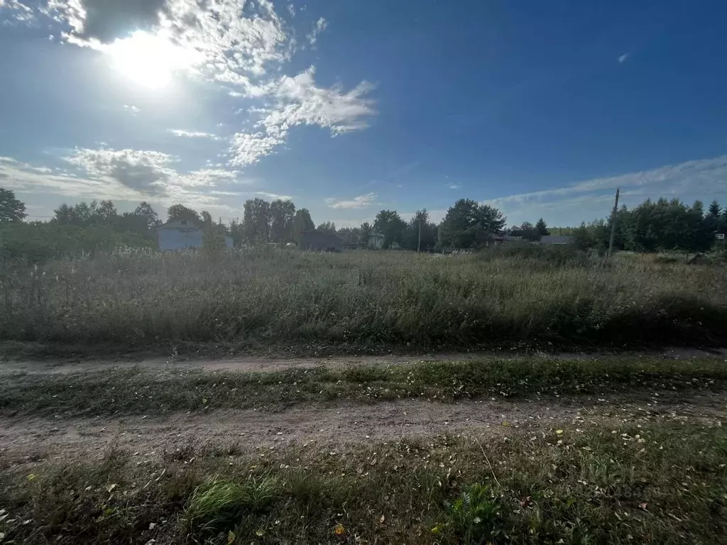 Участок в Новгородская область, Чудовский район, Грузинское с/пос, д. ... - Фото 2