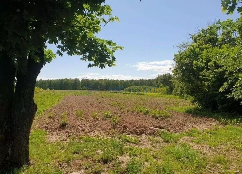 Участок в Нижегородская область, Городецкий муниципальный округ, д. ... - Фото 1