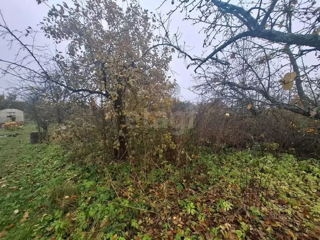 Дом в Костромская область, Кострома Энергетик садоводческое ... - Фото 1