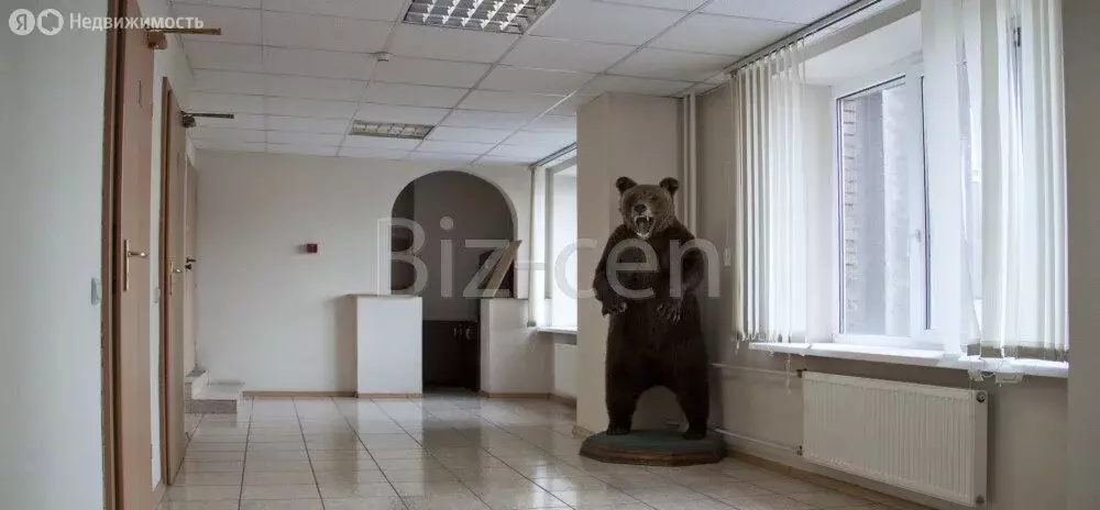Офис (306.3 м) - Фото 1