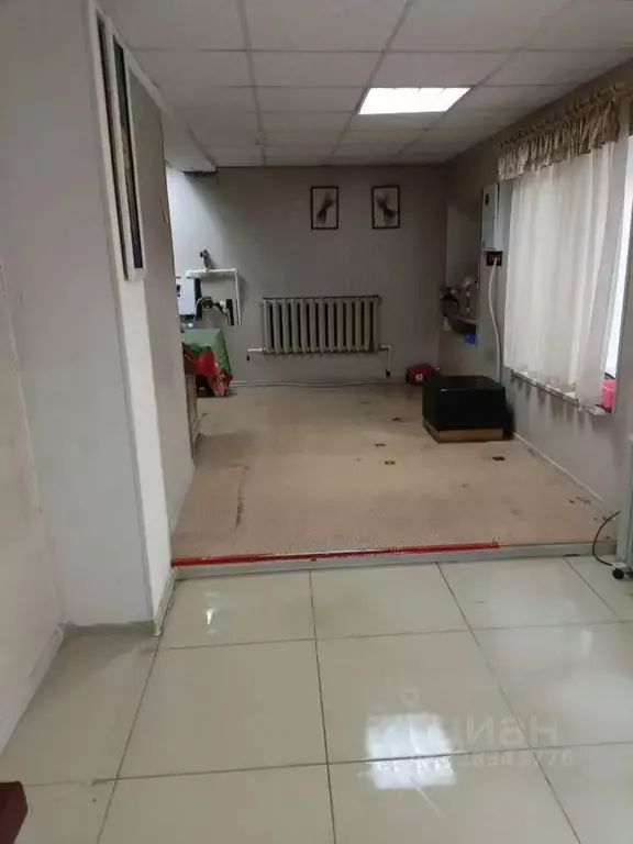 Торговая площадь в Пермский край, Пермь ул. 1905 года, 1 (55 м) - Фото 2