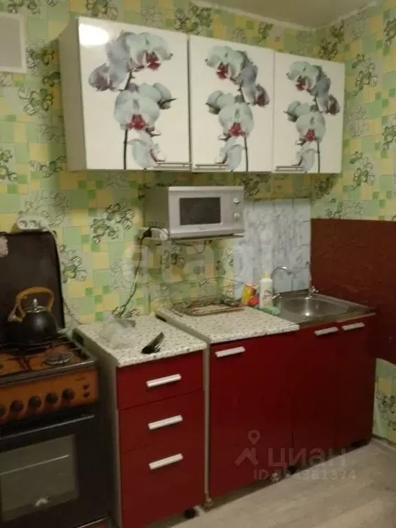 2-к кв. Коми, Сыктывкар просп. Бумажников, 28 (38.6 м) - Фото 1