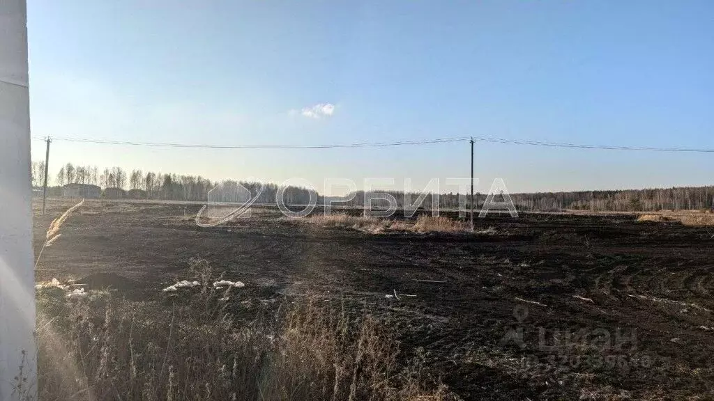 Участок в Тюменская область, Нижнетавдинский район, Царицыно СНТ  (9.5 ... - Фото 1