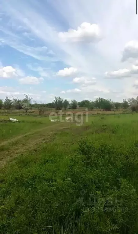 Участок в Ростовская область, Азов Азовский район,  (11.83 сот.) - Фото 1