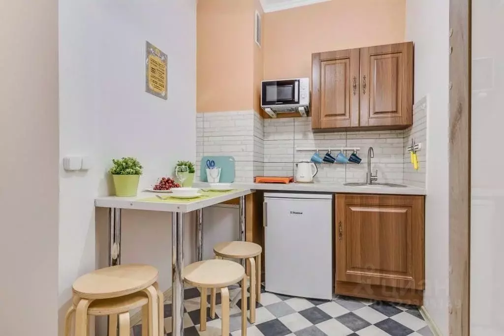 1-к кв. Санкт-Петербург Финский пер., 7 (16.0 м) - Фото 2