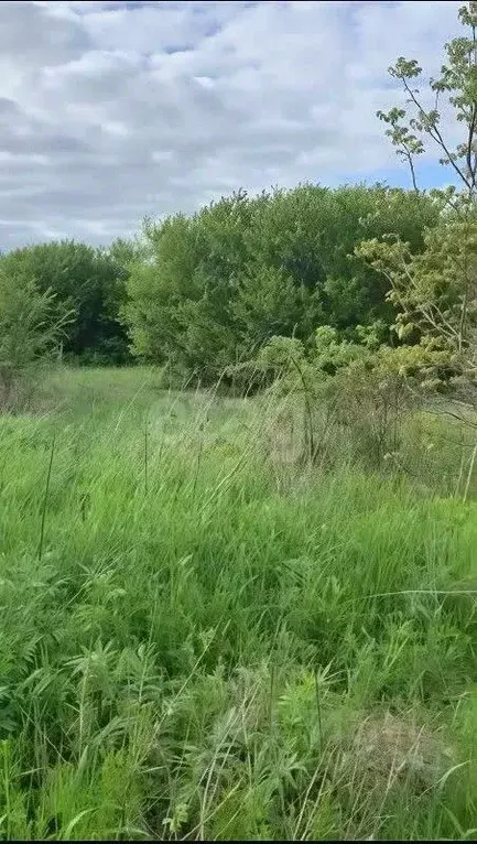 Участок в Ростовская область, Батайск Весна ДНТ, ул. 6-й Проезд (6.0 ... - Фото 1