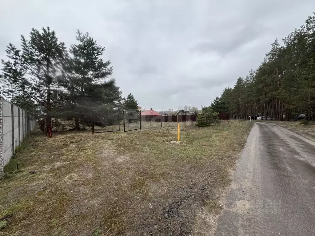 Участок в Белгородская область, Шебекинский муниципальный округ, ... - Фото 1